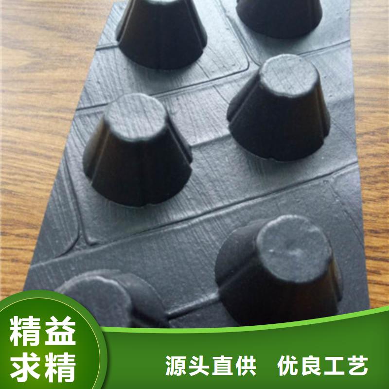 天水新闻@12厚蜂窝型塑料保水排水格片-加工生产河南