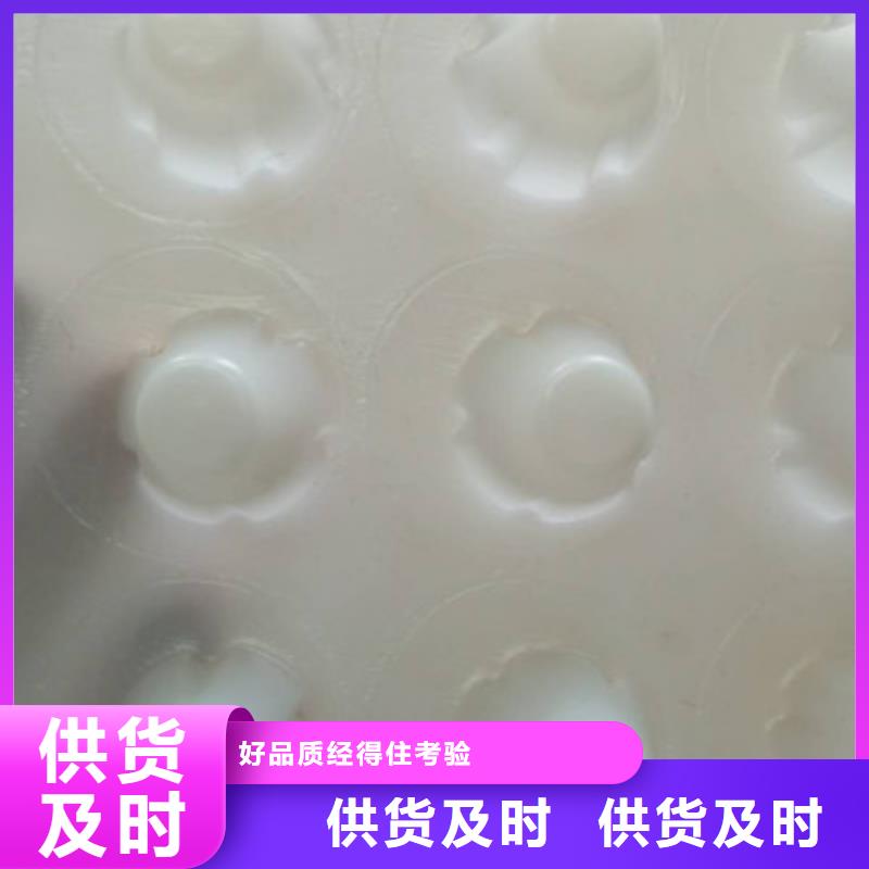 广州新闻@12厚蜂窝型塑料保水排水格片-价格调整聊城
