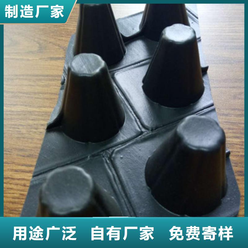 湘潭12高塑料凸点排水板