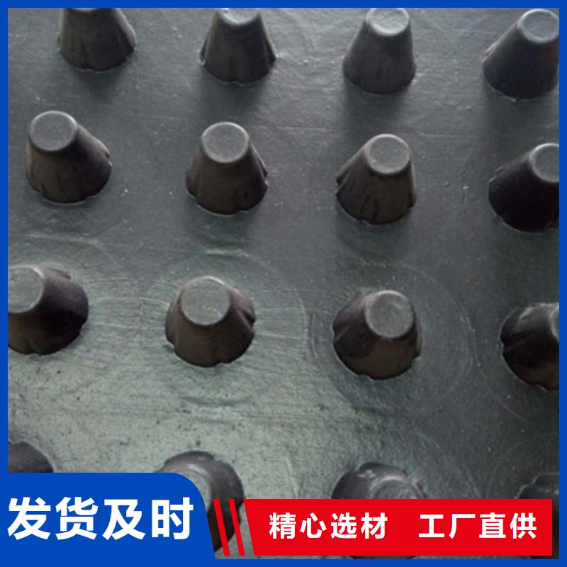 新闻G>湘潭2公分塑料排水凸片-张掖