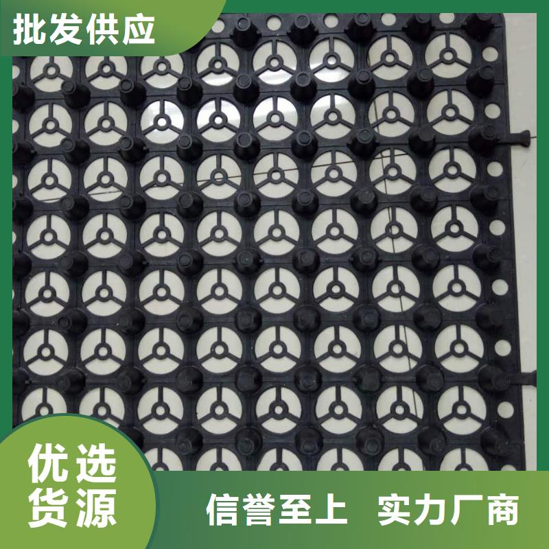 贵州新闻塑料凹凸型疏水板=怀化