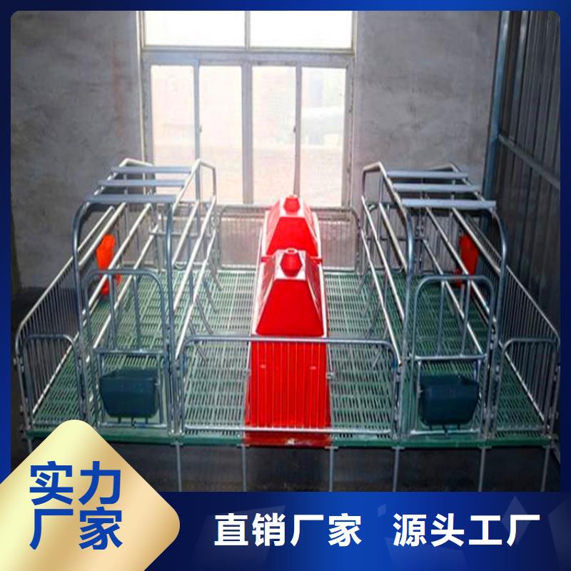 湖北省咸宁市复合双位母猪产床养殖场直销厂家