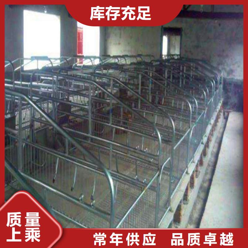 河北省唐山市新型猪用产床养殖场厂家