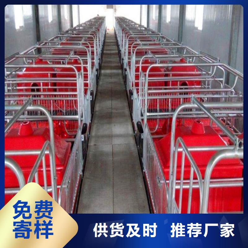 苏州新型猪用产床厂家