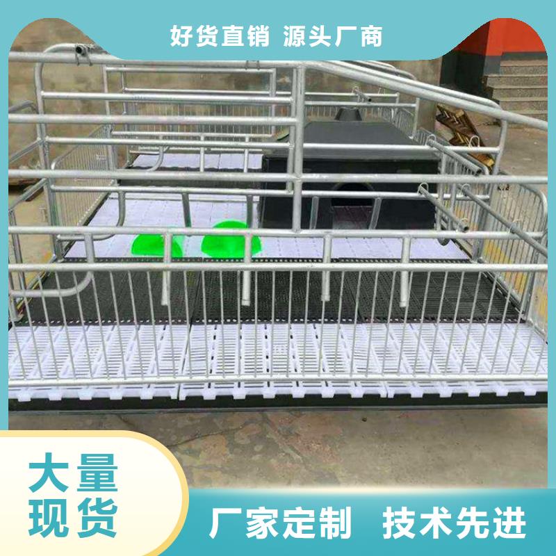 漳州新型猪用产床尺寸