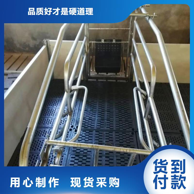 河北省唐山市养猪设备养殖场直销厂家