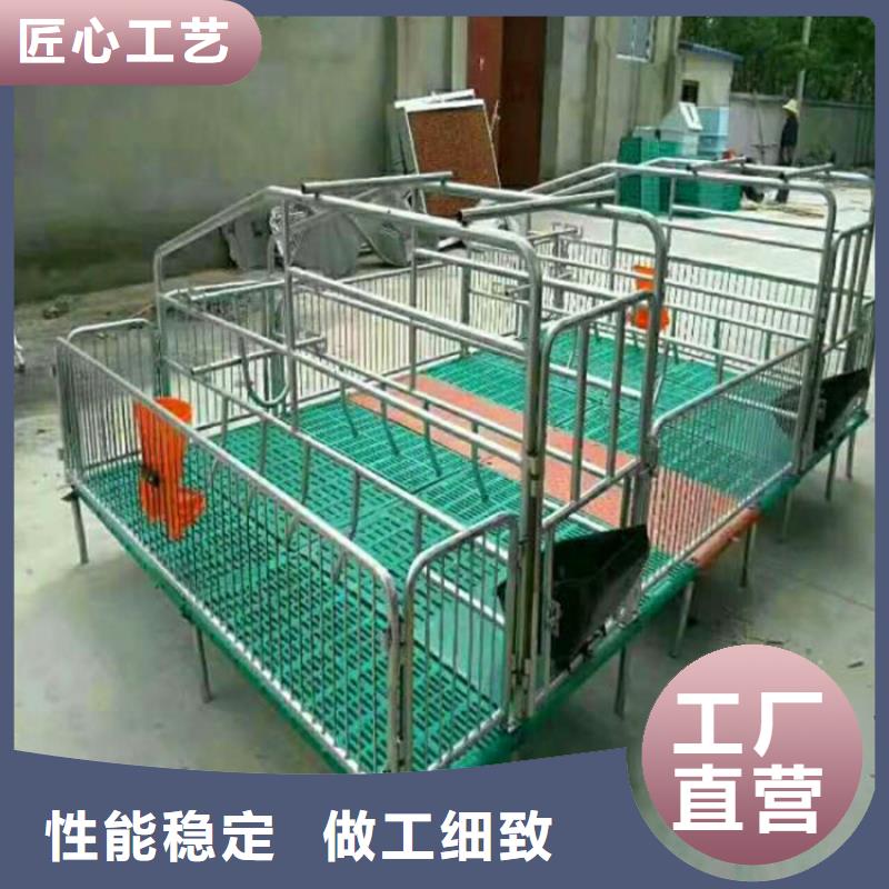 天津双位猪用产床价格
