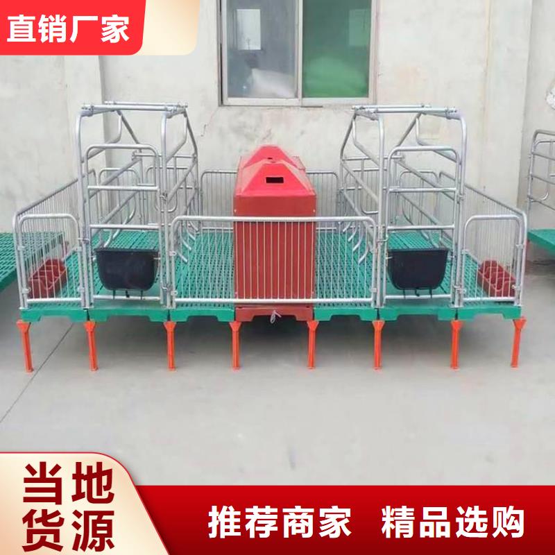 贵州省黔南市复合双位母猪产床养殖场直销厂家