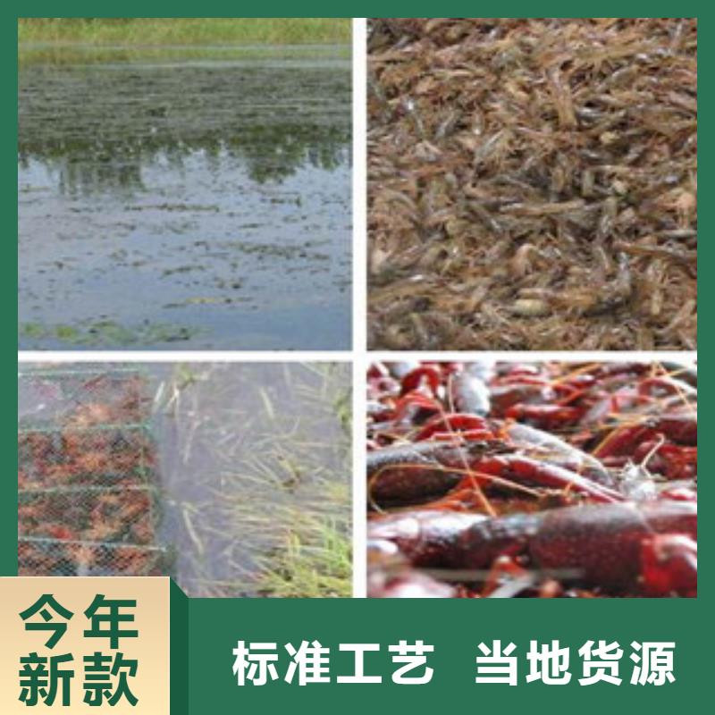 耀州小龙虾养殖基地批发小龙虾苗培育基地