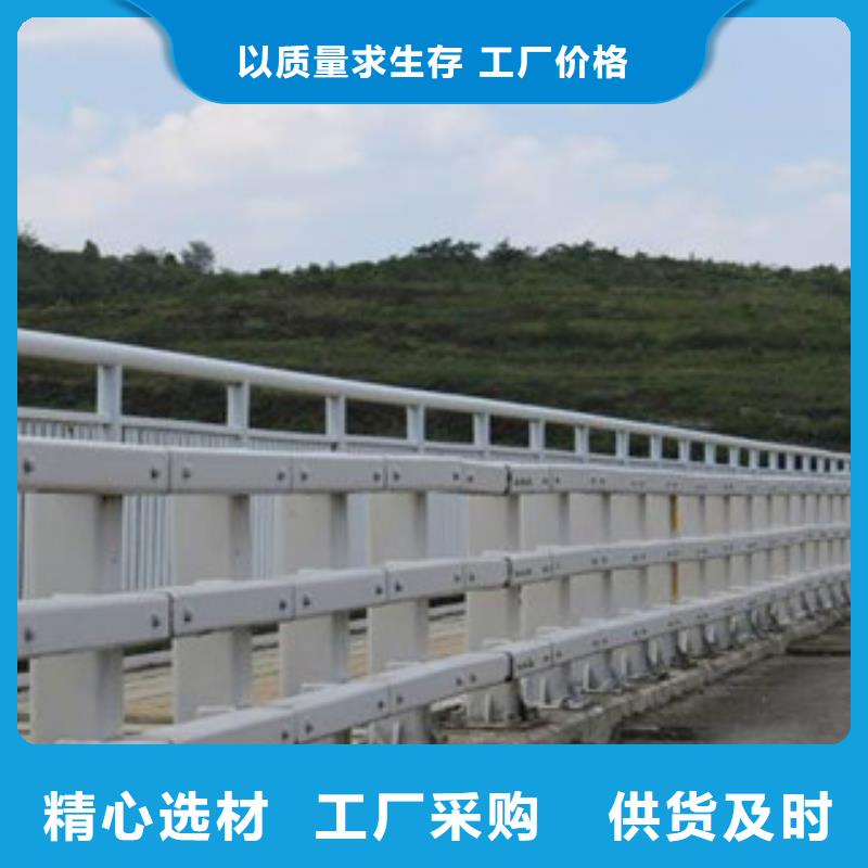 西藏不锈钢道路护栏专业定制