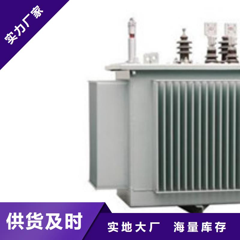 沈阳SCB13干式变压器制造公司
