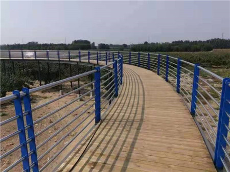 珠海桥梁钢制护栏生产厂家
