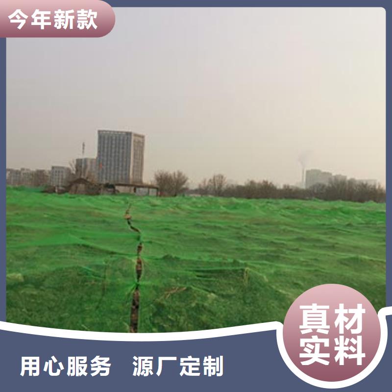 台州建筑防尘网快速发货