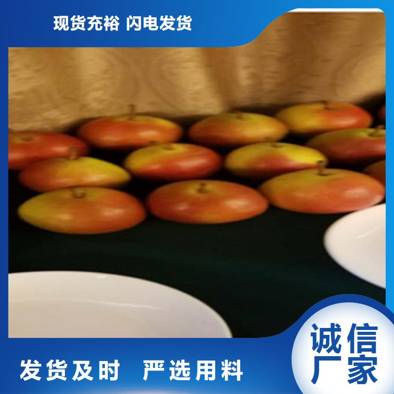 安康红香酥梨树苗0.6公分