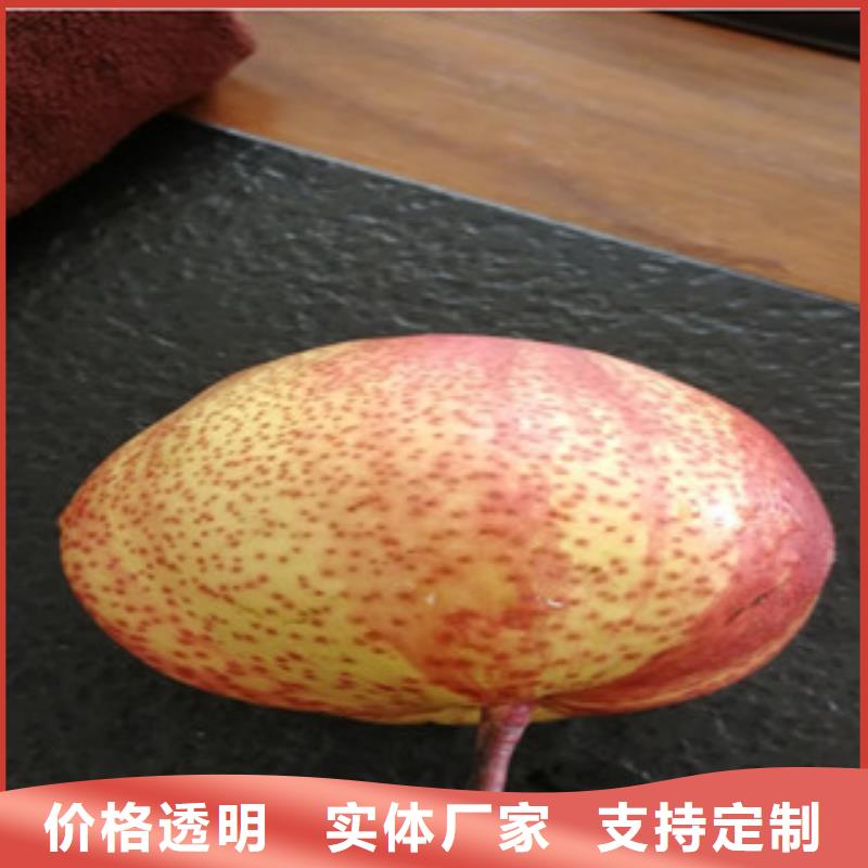 青海苹果梨树苗0.9公分