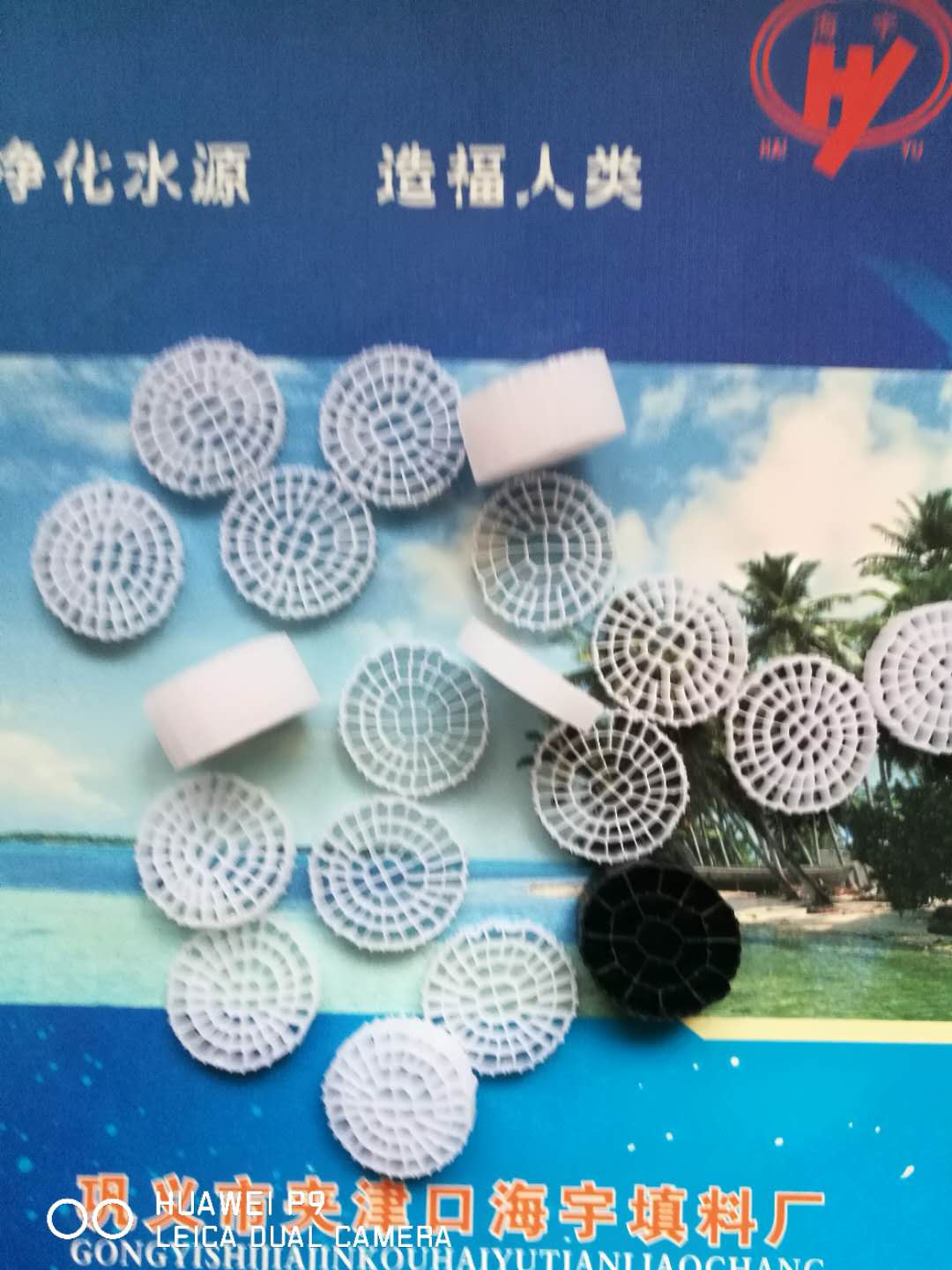 漳州多孔生物悬浮填料优质服务