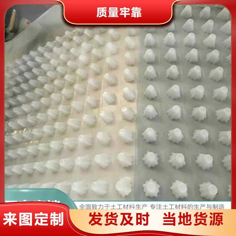 凹凸型塑料排水板价格：鹤壁