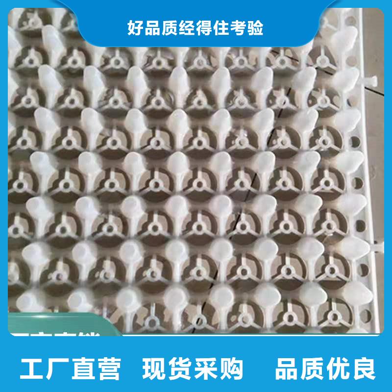 屋顶绿化塑料蓄排水板生产厂家：朔州