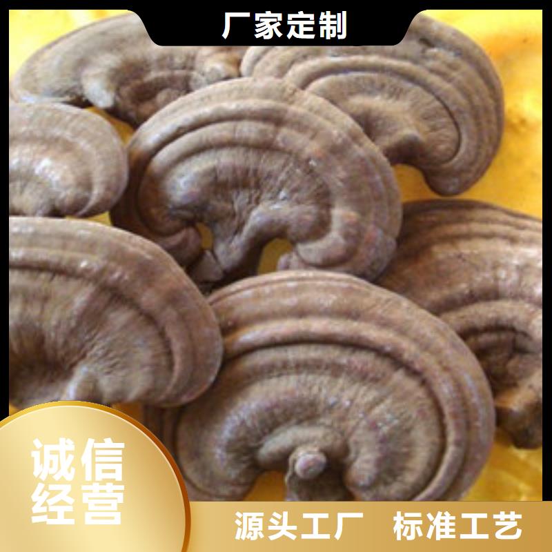 上海灵芝孢子粉商品介绍