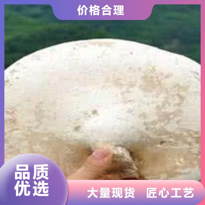 阳江灵芝孢子粉质量保证营养高