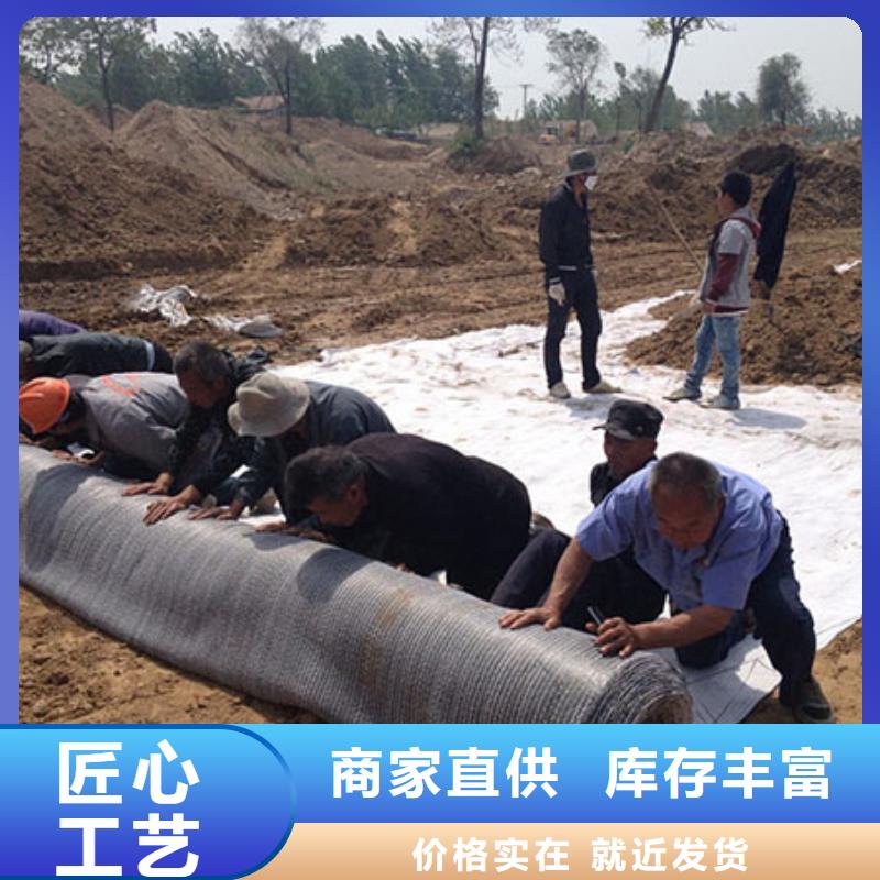 滁州长丝布复合排水网销售厂家