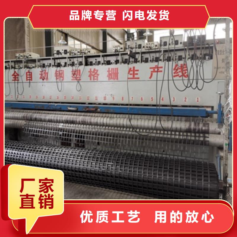 滁州GSZ钢塑土工格栅生产价格