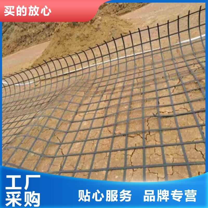 滁州钢塑复合土工格栅产品描述