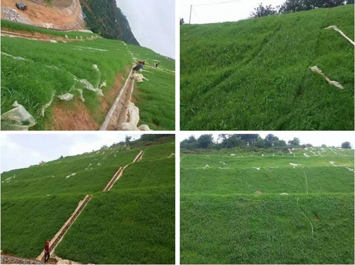 安徽阜阳市颍上矿山绿化修复边坡挂网喷浆机器厂家
