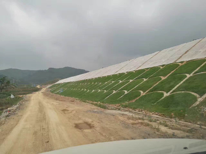 广西省北海山体高坡绿化喷播种草机喷播机联系电话