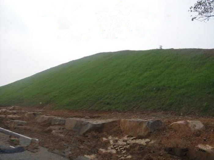 阳江市高速坡面种草绿化喷播机施工