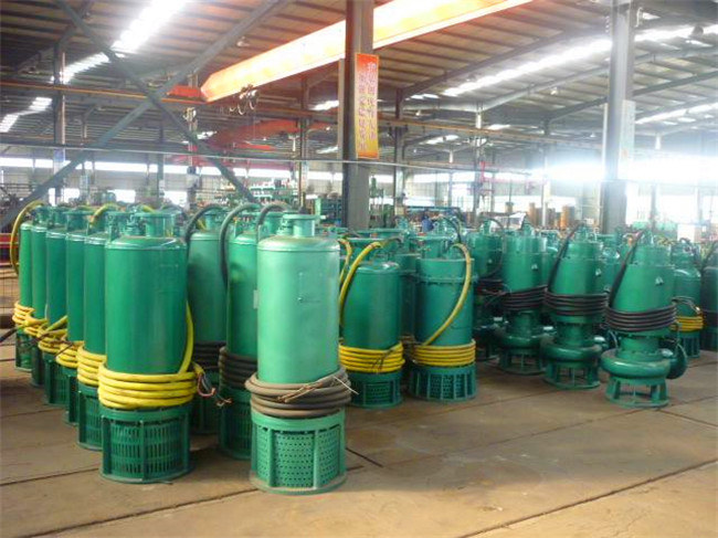 泰州BQS150-100/2-75/NS排污泵