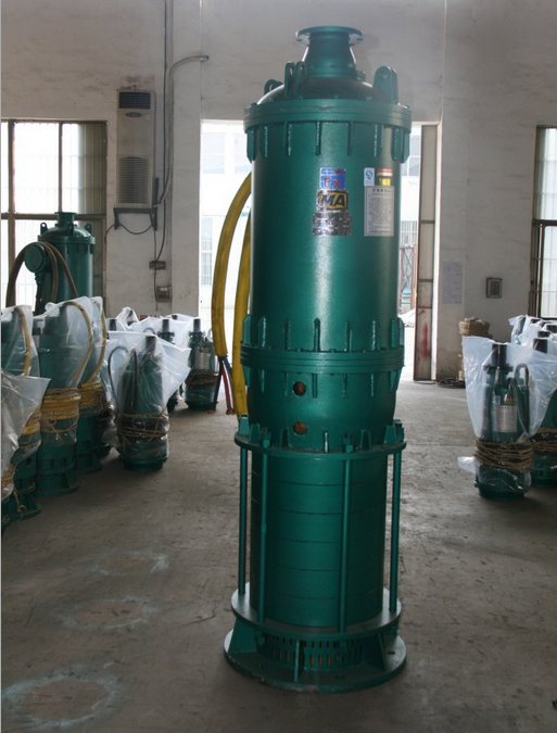 安徽省徽州区BQS80-100-45/NS防爆电泵