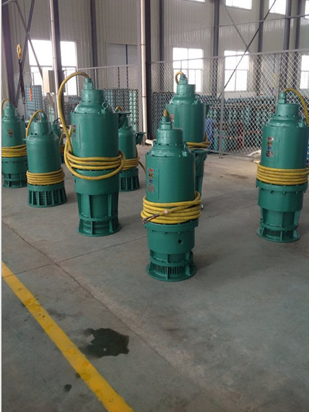 江西宜春市BQS80-60/2-30矿用隔爆型潜水排沙电泵